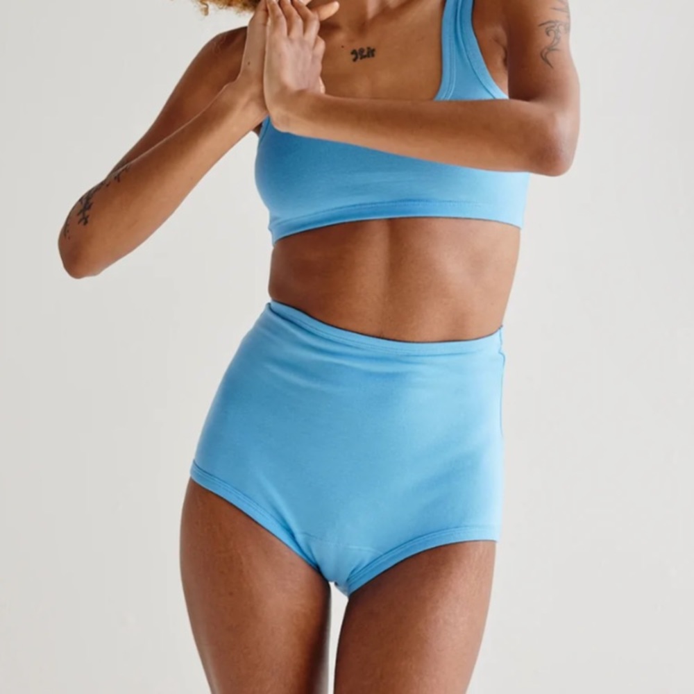NWT ARQ Cornflower high-rise undies in small